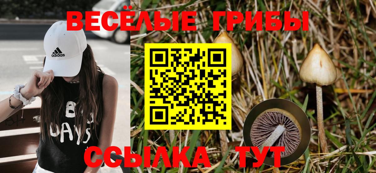 Туймазы  Псилоцибиновые грибы MAGIC MUSHROOMS  Галлюциногенные грибы мицелий  Вход с VPN 