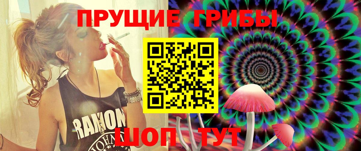 Псилоцибиновые грибы GOLDEN TEACHER Туймазы